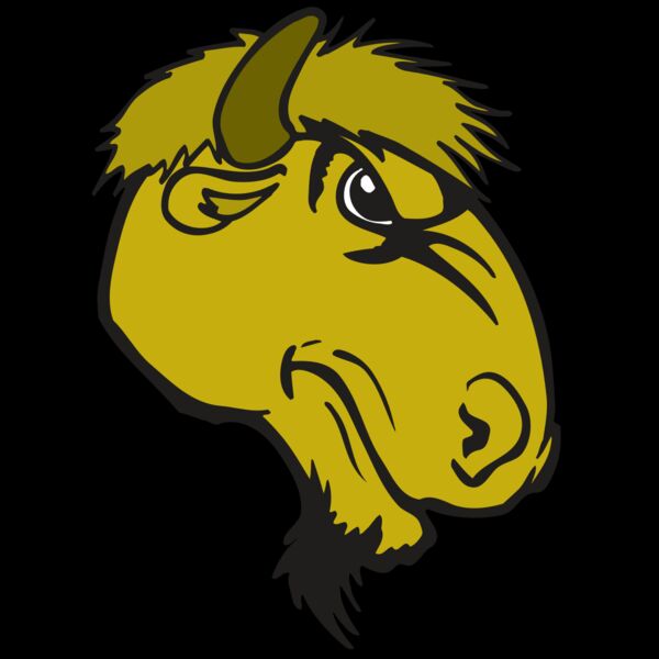 AR BUFFALO 14 RC Thumbnail