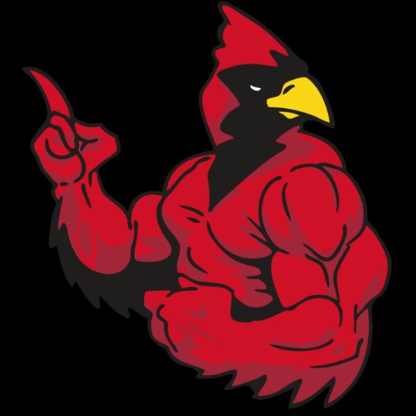 AR CARDINAL 28 RC Thumbnail