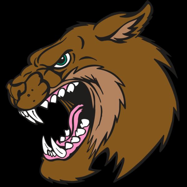 AR5 BOBCAT 18 RQC Thumbnail