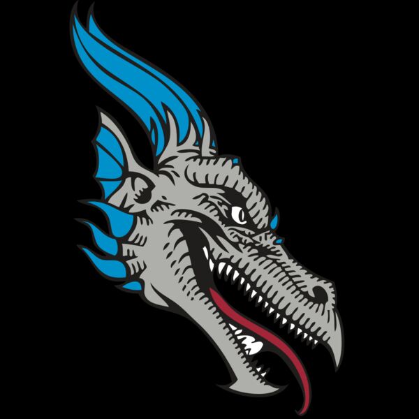 BAW DRAGON 07 RC Thumbnail