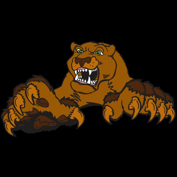 AR5 COUGAR 30 RQC Thumbnail